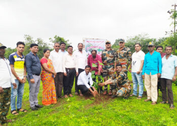 आदिवासी समाज संघटनेच्यावतीने वृक्षरोपण