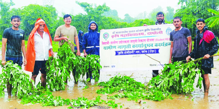पॉवर टिलरद्वारे चिखलणीचे प्रात्यक्षिक