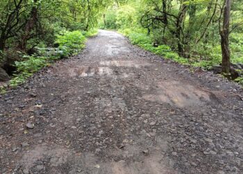 मुरुड-केळघर रस्त्याची दैना