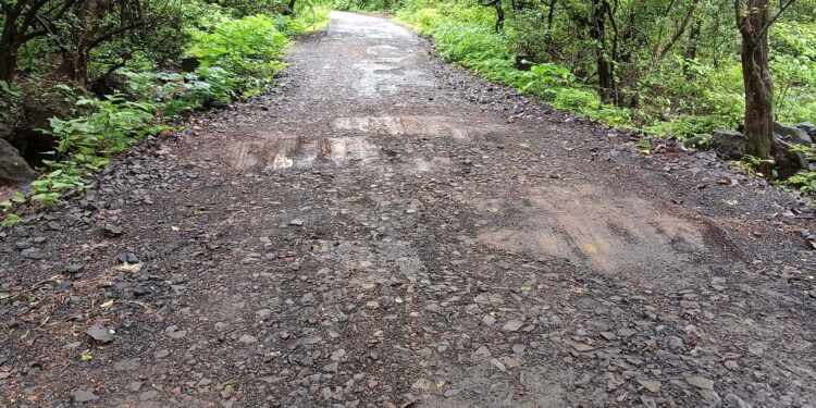 मुरुड-केळघर रस्त्याची दैना