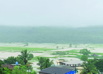 अतिवृष्टीमुळे बळीराजाच्या स्वप्नांवर पाणी