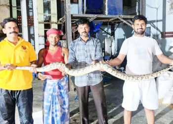 अजगराला जीवदान