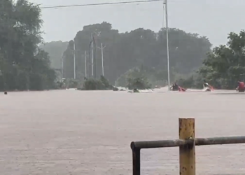 एक थरारक अनुभव! उल्हास नदीला भेदून वाचवले युवकाचे प्राण
