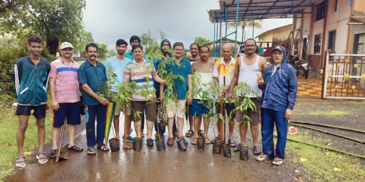 गौळवाडीत उपयुक्त रोपांची लागवड