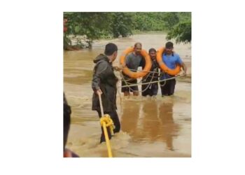 झाडावर बसल्याने वाचला जीव