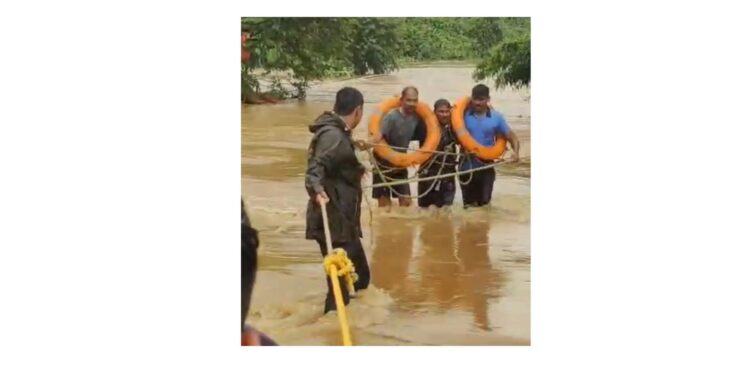 झाडावर बसल्याने वाचला जीव