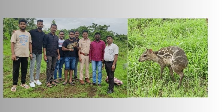 दुर्मिळ पिसुरी हरिणाला जीवदान