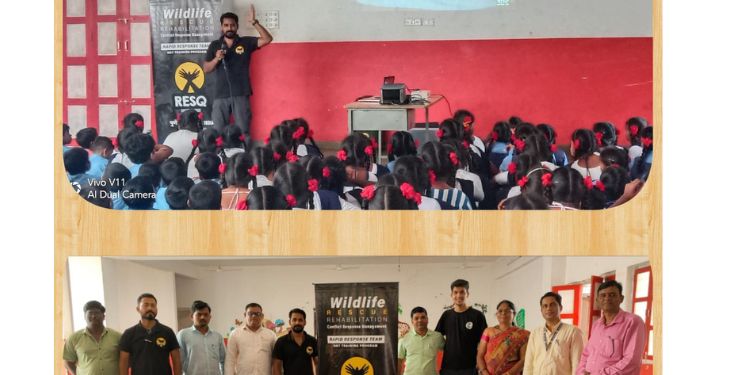 वन्यजीवांचे संरक्षण, सुटका मार्गदर्शन