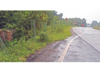 पाच फुटाचे वृक्षारोपण सुरू