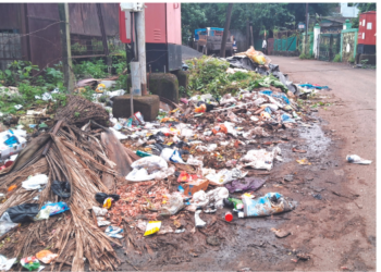 अलिबाग शहरात कचऱ्याचे साम्राज्य