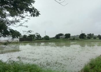 शेतकऱ्यांना नुकसान भरपाई मिळण्याची मागणी