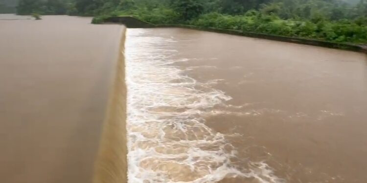 जामरुंग पाझर तलावाला गळती