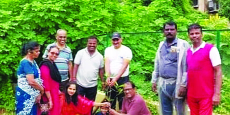 दहिवली विचारमंचच्या माध्यमातून वृक्षारोपण