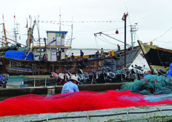 मासळी खवय्यांसाठी खूशखबर! सुरू होतोय मासेमारीचा नवा हंगाम