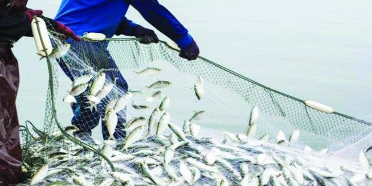 मच्छिमार गावे विकसित करण्यासाठी निधी