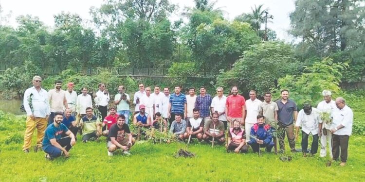 संकल्प एकता मंचाकडून वृक्षलागवड