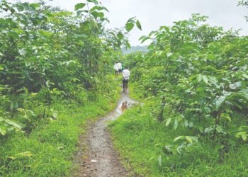 कोणी रस्ता देता का रस्ता