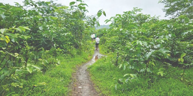 कोणी रस्ता देता का रस्ता
