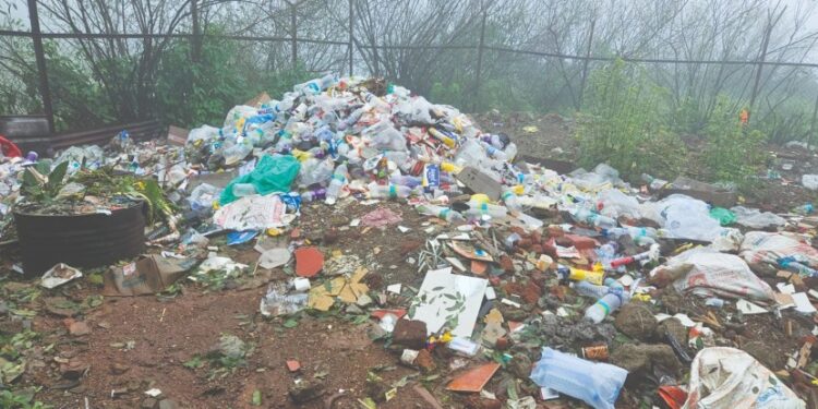 किल्ले रायगडावर कचर्‍याचा ढीग