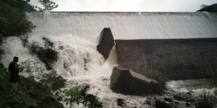 धरण क्षेत्रात दमदार पाऊस