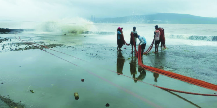 राजपुरी समुद्रकिनारी लाटांचे तांडव