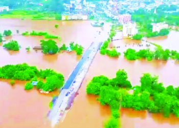 पालीला पावसाने झोडपले; अंबा नदीला महापूर