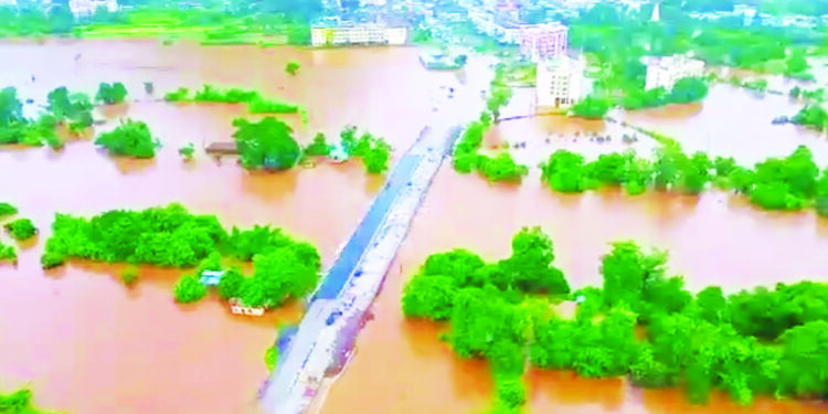 पालीला पावसाने झोडपले; अंबा नदीला महापूर