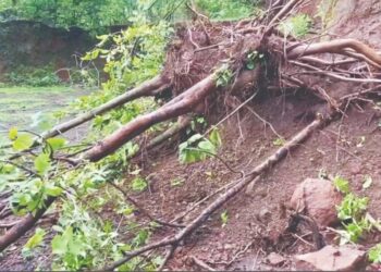 उत्खननामुळे पशु-पक्षांच्या निवार्‍यावर घाला