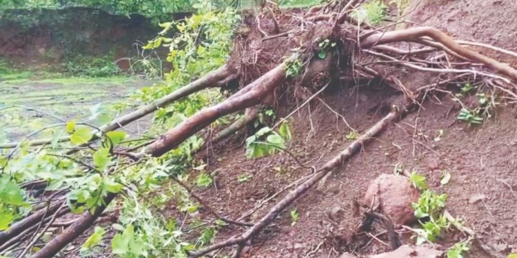 उत्खननामुळे पशु-पक्षांच्या निवार्‍यावर घाला