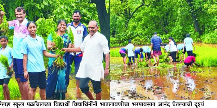 विद्यार्थ्यांनी घेतला भातलावणीचा आनंद