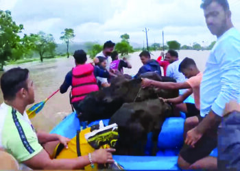 पुरात अडकलेल्या पाच जणांच्या सुटकेचा थरार