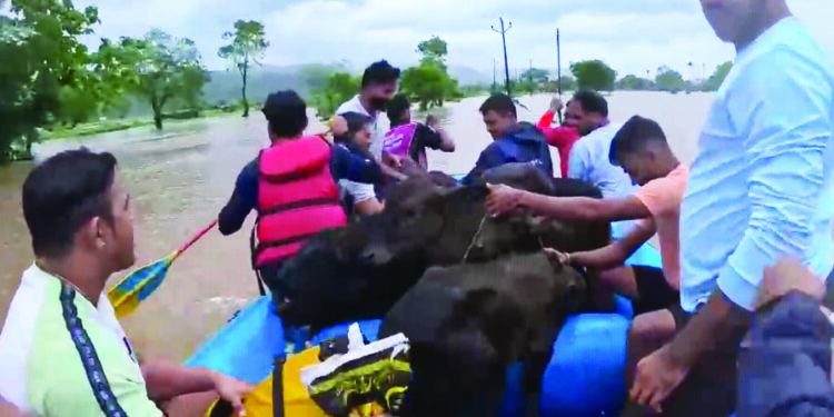 पुरात अडकलेल्या पाच जणांच्या सुटकेचा थरार