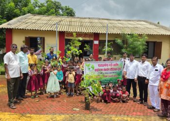 वृक्षारोपण, वृक्षवाटप कार्यक्रम