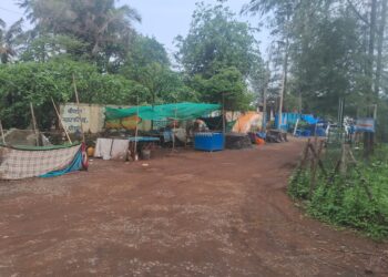 श्रीवर्धन समुद्र किनारा विद्रुप