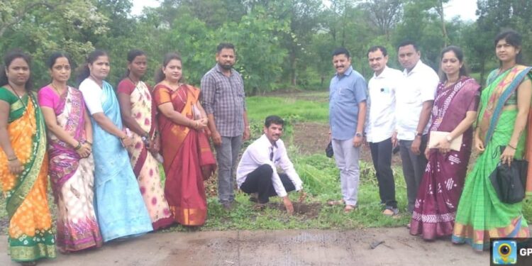 माजगाव ग्रामपंचायतीकडून वृक्षारापेण