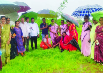 भेंडखळ ग्रामपंचायतीने केले वृक्षारोपण