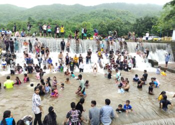 मुसळधार पावसाने चिरनेरचे निसर्ग बहरले