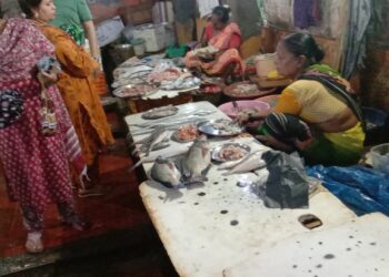 उरणच्या बाजारात मासळीची आवक वाढली