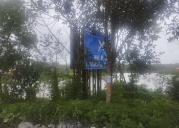 पालिका हद्दीतील 167 झाडांची होणार कत्तल