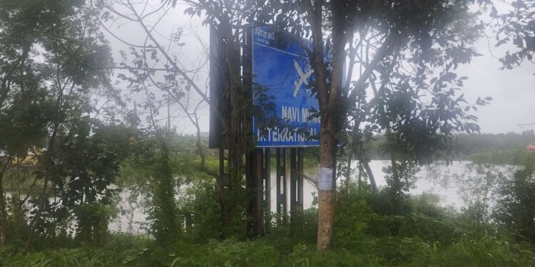 पालिका हद्दीतील 167 झाडांची होणार कत्तल