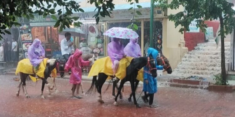 माथेरानमध्ये कोसळधारा; 24 तासात 293 मिलिमीटर पावसाची नोंद