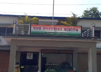 पाली नगरपंचायत पोटनिवडणूक