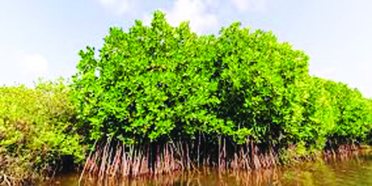 अधिकार्यासह ठेकेदाराविरोधात गुन्हा दाखल