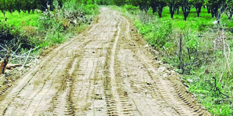 मातोश्री पाणंद रस्ते अडचणीत