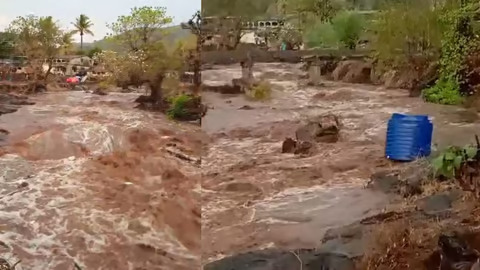 रत्नागिरीत समाधानकारक पावसाची नोंद