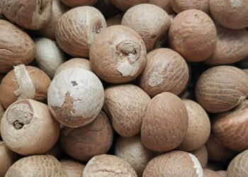 सुपारी फोडताना स्फोट