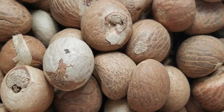 सुपारी फोडताना स्फोट