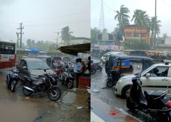 जिल्ह्यात मुसळधार पाऊस