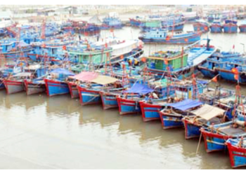 मत्स्य वाहतुकीवर कर आकारणार