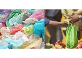 प्लास्टिक पिशव्यांचा सर्रास वापर
